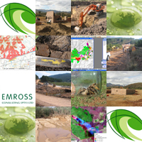 Emross Consulting - Mosaic